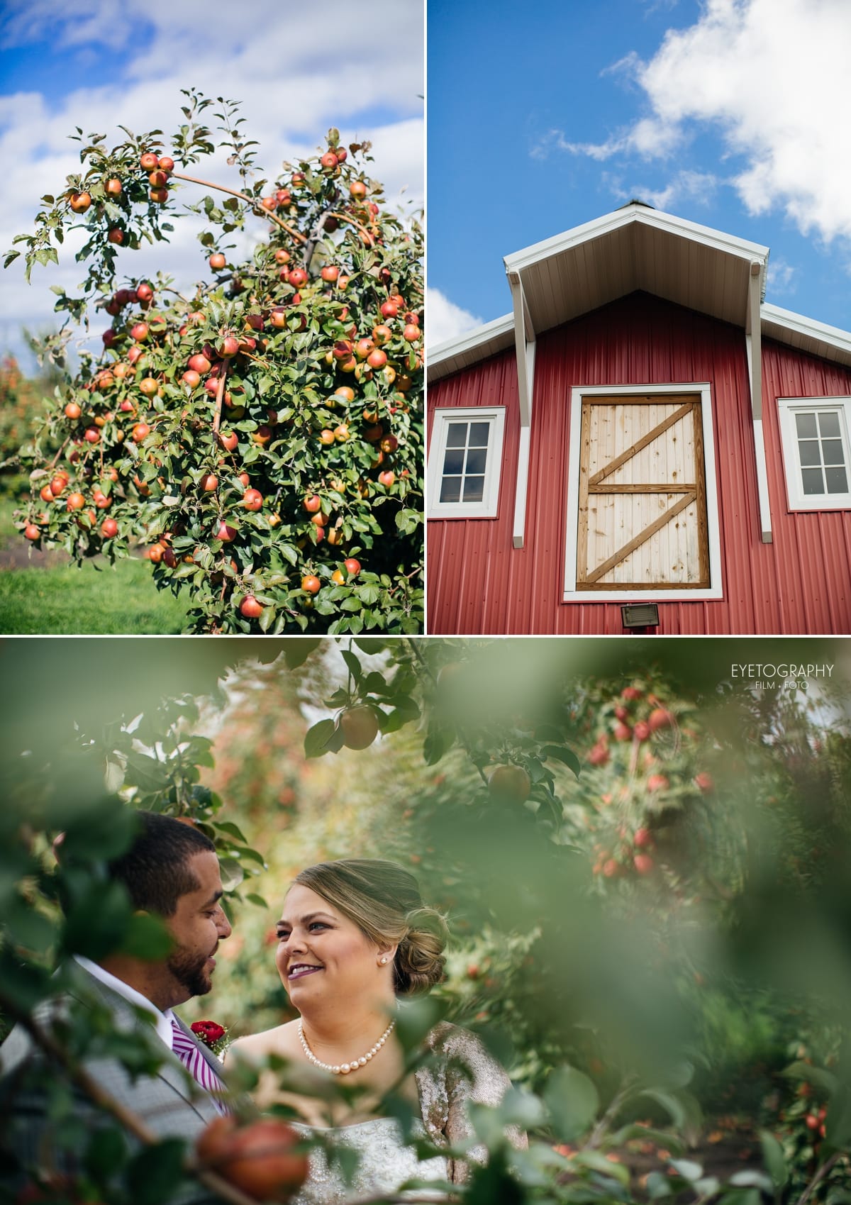 Minnesota Apple Orchard Wedding | Emily + Nate | Eyetography Film + Foto 10
