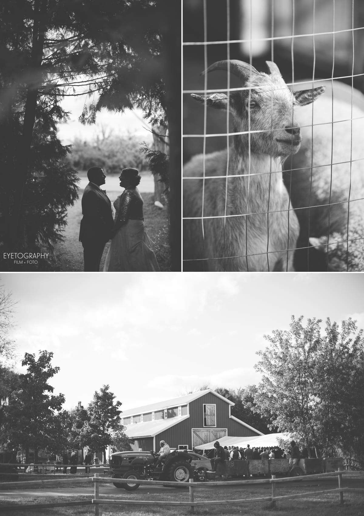 Minnesota Apple Orchard Wedding | Emily + Nate | Eyetography Film + Foto 25